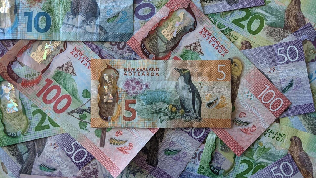 Voices for Freedom: RNZ's Tim Brown follows the money