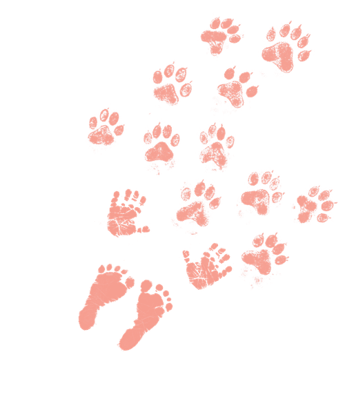 The trail of the litter box