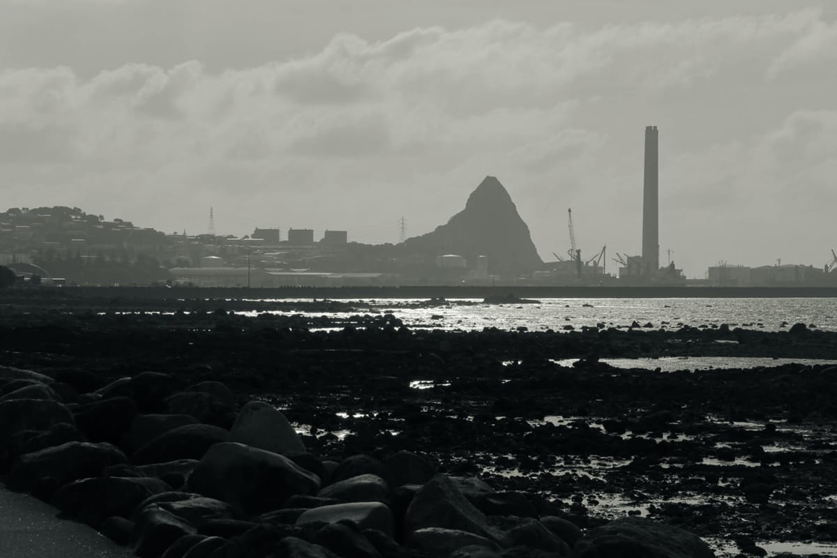 AnImage of New Plymouth