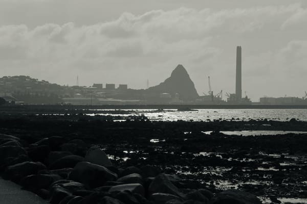 AnImage of New Plymouth