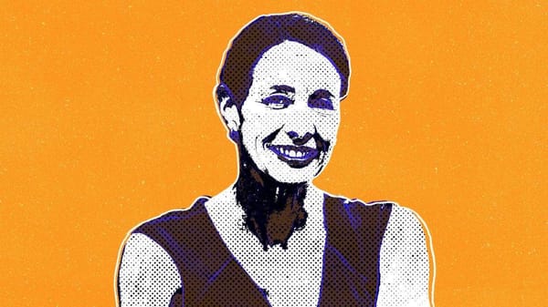 Sue Grey: lawyer, anti-vax leader, co-leader of the NZ Outdoors & Freedom Party. Image: Kathryn George/Stuff